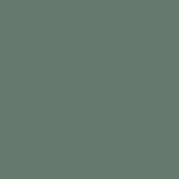 Matera Colour L317T Vert eucalyptus mat AFP