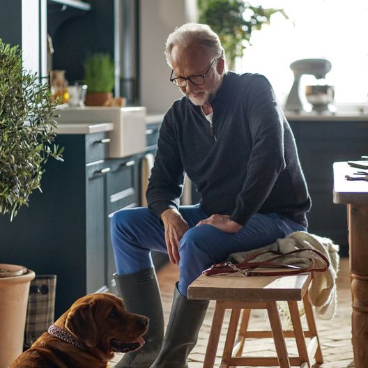 Zuhause mit dem Hund
